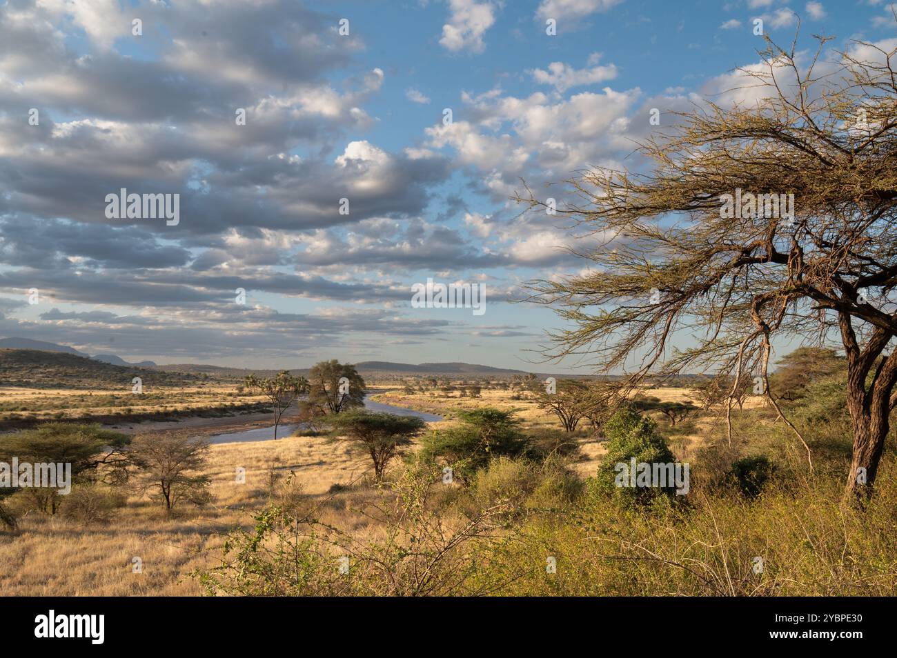 Fiume Ewaso ng'iro, riserva naturale di Buffalo Spring Game, riserva nazionale di Samburu, Kenya, Africa Foto Stock