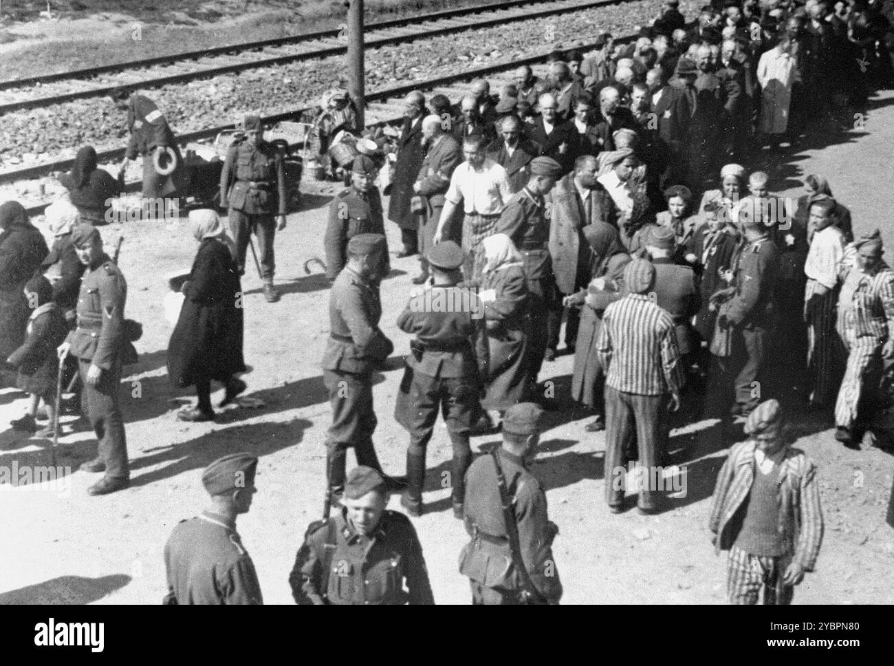 Ebrei ungheresi al processo di selezione sulla rampa di Auschwitz. Alcuni sono stati tenuti per il lavoro forzato, il resto sono stati gassati entro poche ore dalla selezione. Gli ebrei in Ungheria erano abbastanza al sicuro fino a quando Hitler, temendo che l'Ungheria stesse cercando un accordo con gli alleati, ordinò l'invasione del paese nel marzo 1944. Tra il 15 maggio e il 9 luglio 1944, oltre 434.000 ebrei furono deportati su 147 treni, la maggior parte dei quali ad Auschwitz, dove circa il 80% fu gassato all'arrivo. I rapidi progressi delle deportazioni sono stati resi possibili da una stretta cooperazione tra le autorità ungheresi e tedesche. Foto Stock