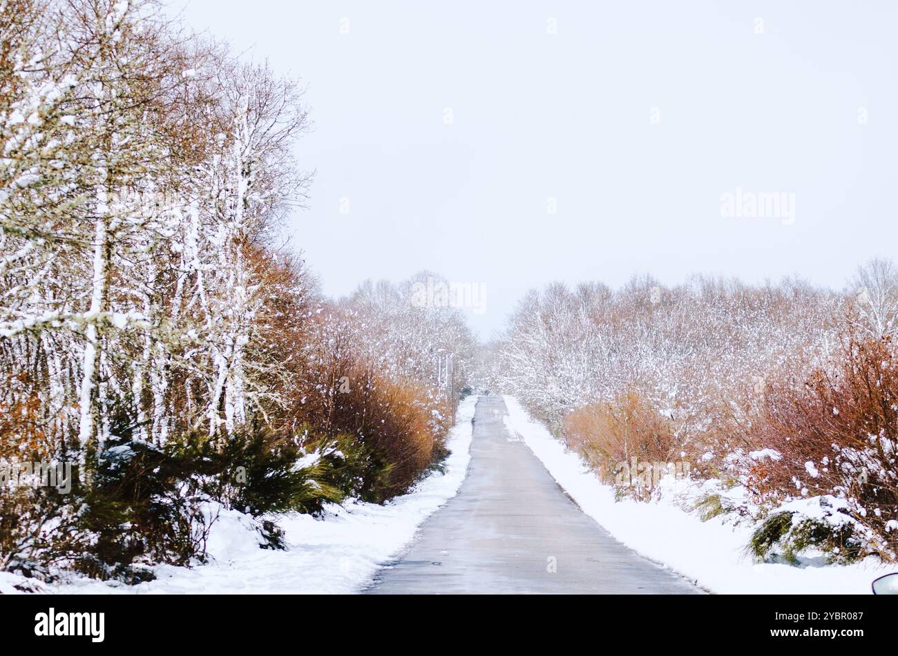 strada senza traffico in un paesaggio montano invernale innevato, concetto di fondo innevato Foto Stock