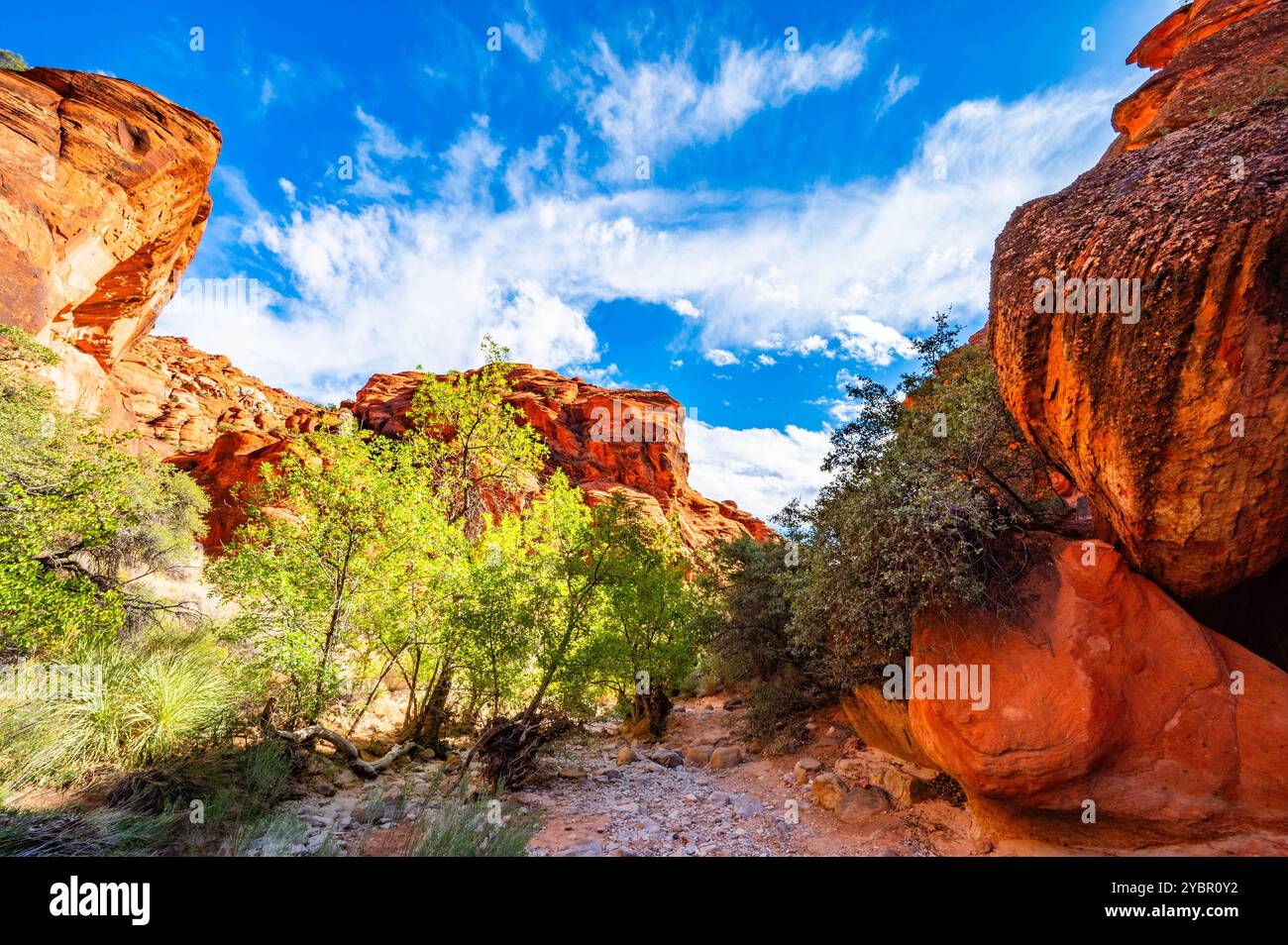 Red Reef Cliffs Harrisburg Utah durante un'escursione nell'autunno del 2024 Foto Stock