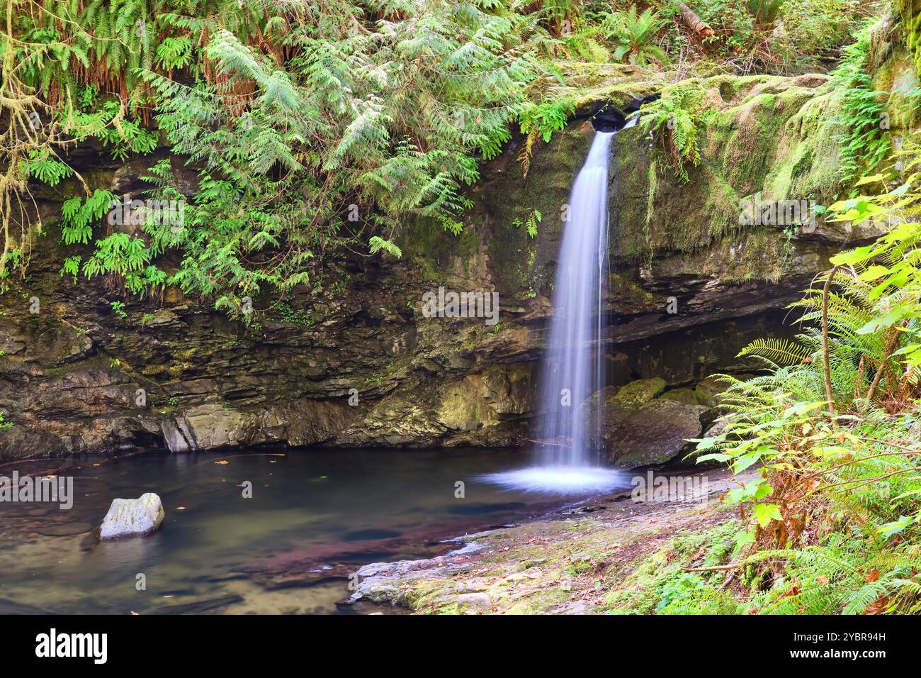 Circondate da una lussureggiante foresta pluviale, le cascate di Stocking Creek sull'Isola di Vancouver hanno un pittoresco flusso d'acqua in tarda estate. Foto Stock