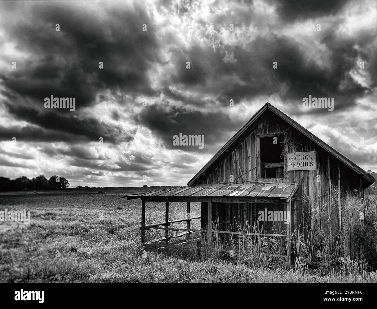 Gregg Farms Old Peach Stand, Concord, Georgia, Stati Uniti Foto Stock