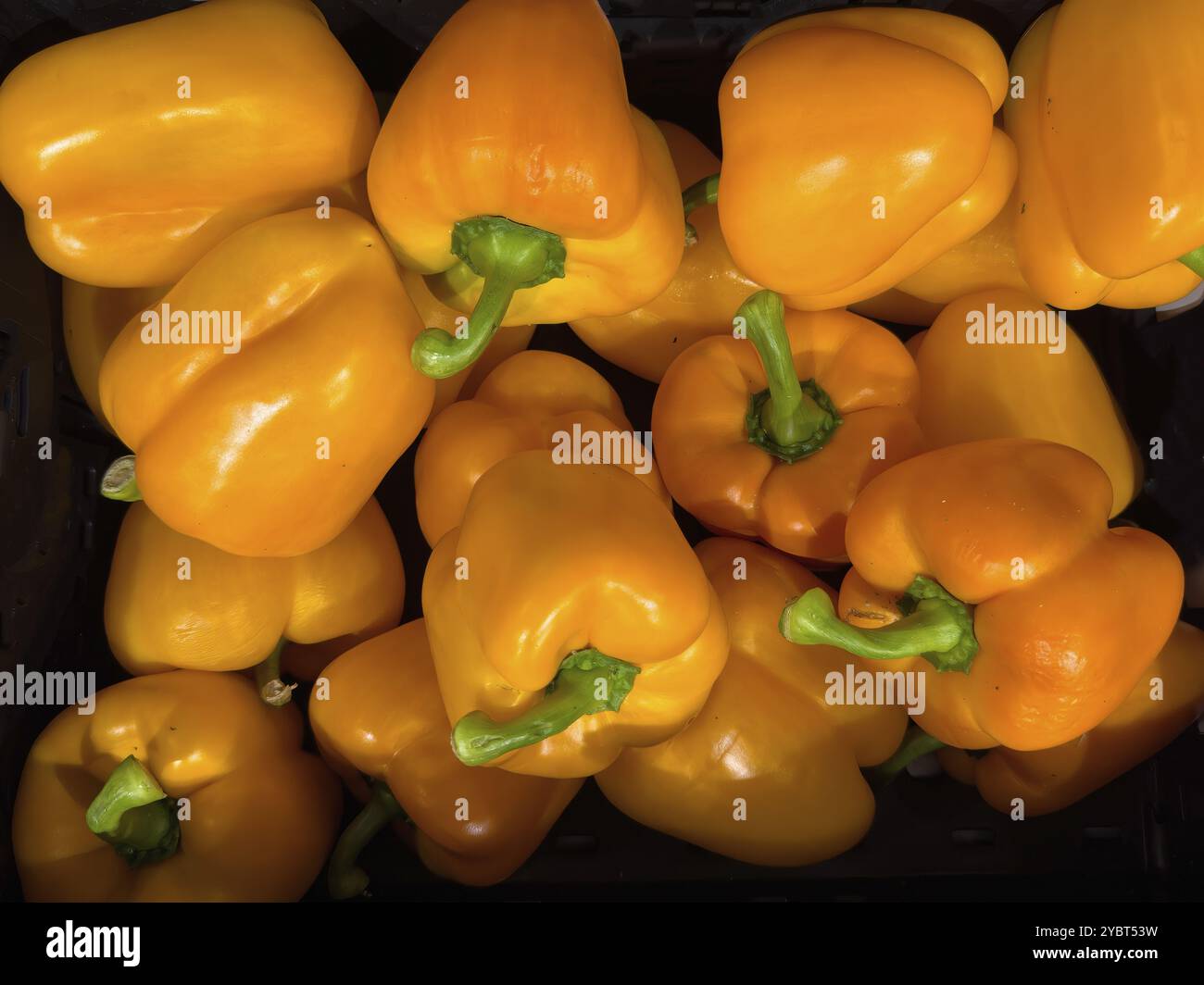 Peperoni d’arancia (Capsicum) non trasformati, internazionali Foto Stock