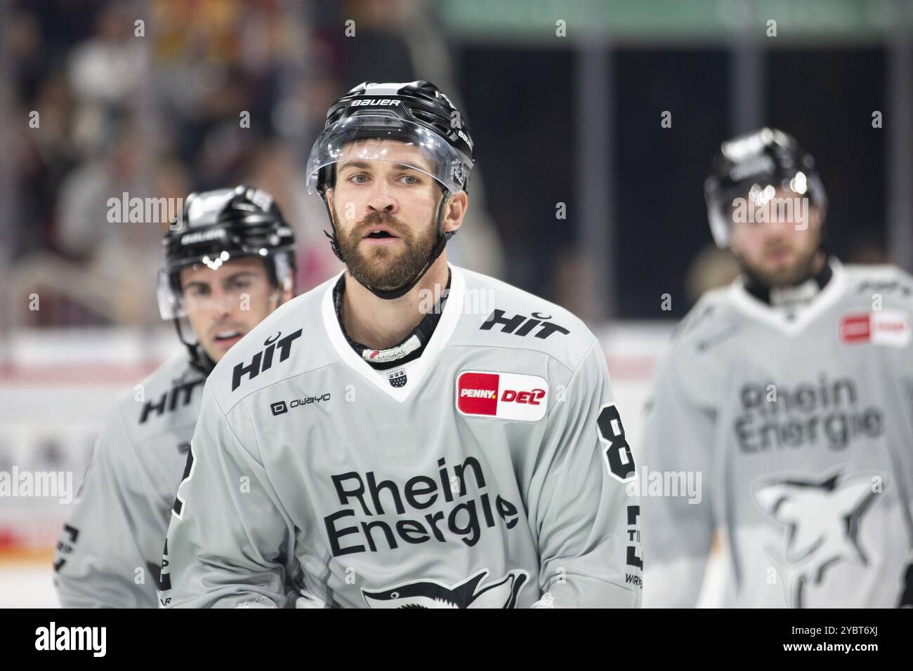 PSD Bank Dome, Duesseldorf, Renania settentrionale-Vestfalia, Alexandre Grenier (Koelner Haie, #82), PENNY DEL, Duesseldorfer EG-Koelner Haie su 18.10.2024 a t Foto Stock