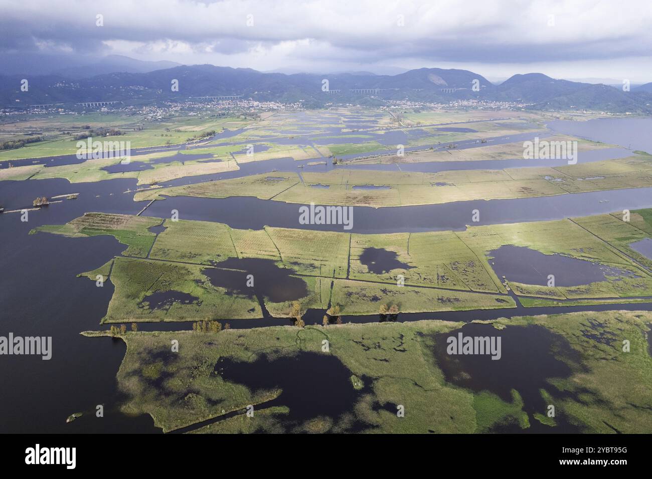 Documentazione fotografica aerea della zona paludosa del Lago di Massaciuccoli Toscana Foto Stock