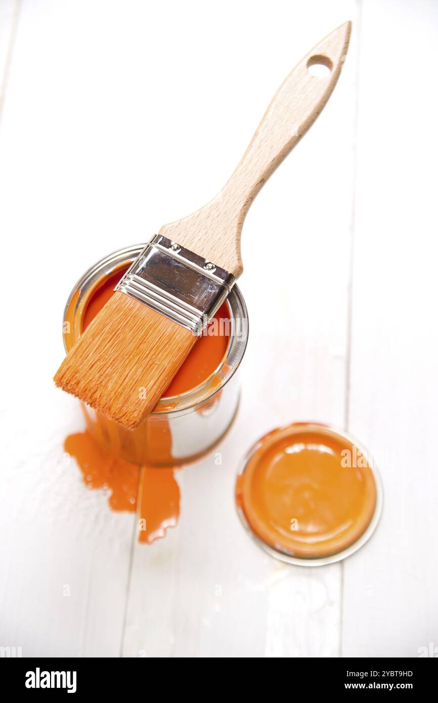 Presentazione di un pennello con il rispettivo Foto Stock