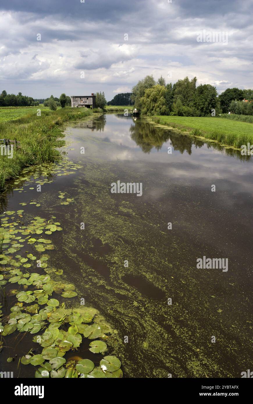 Run-down sparso sulla banca del fiume di Giessen Hoornaar vicino nella regione olandese Alblasserwaard Foto Stock