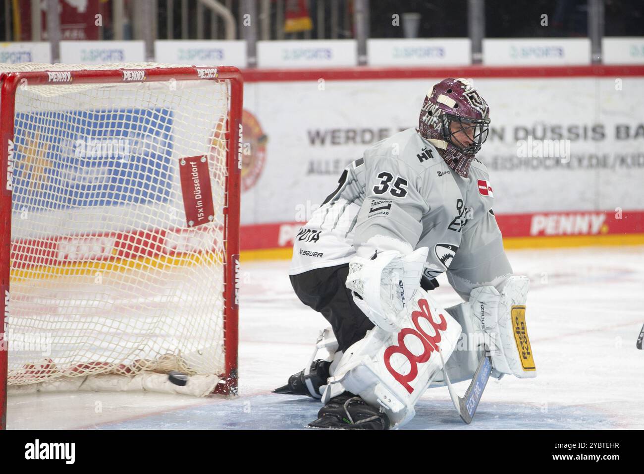 PSD Bank Dome, Duesseldorf, Renania settentrionale-Vestfalia, Julius Hudacek (Koelner Haie, #35), PENNY DEL, Duesseldorfer EG-Koelner Haie il 18/10/2024 presso il Foto Stock