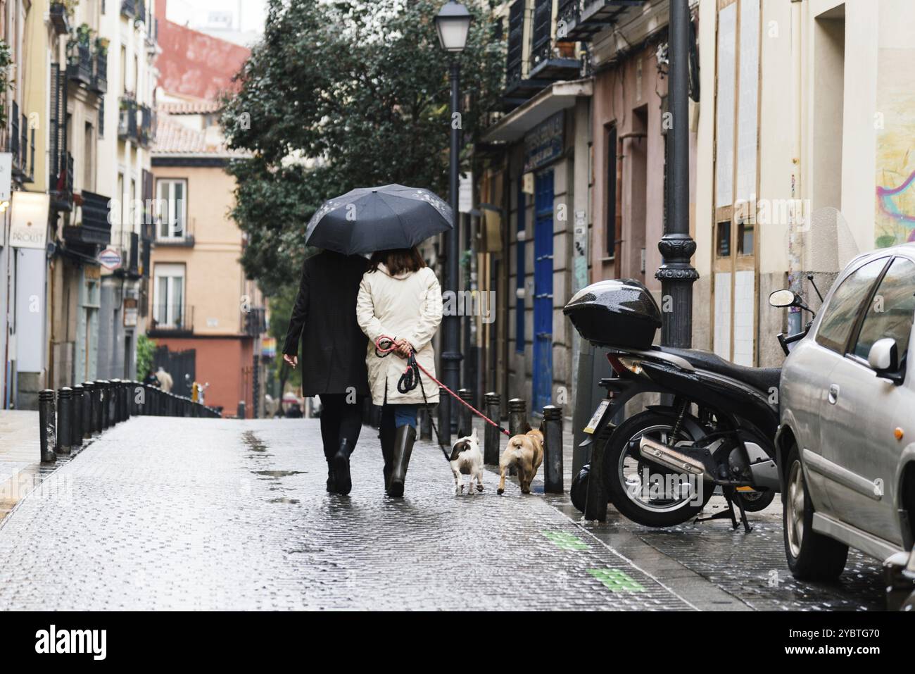 Madrid, Spagna, 14 novembre 2020: Coppia non identificata che cammina per strada un giorno di pioggia nel quartiere Chueca a Madrid, Europa Foto Stock