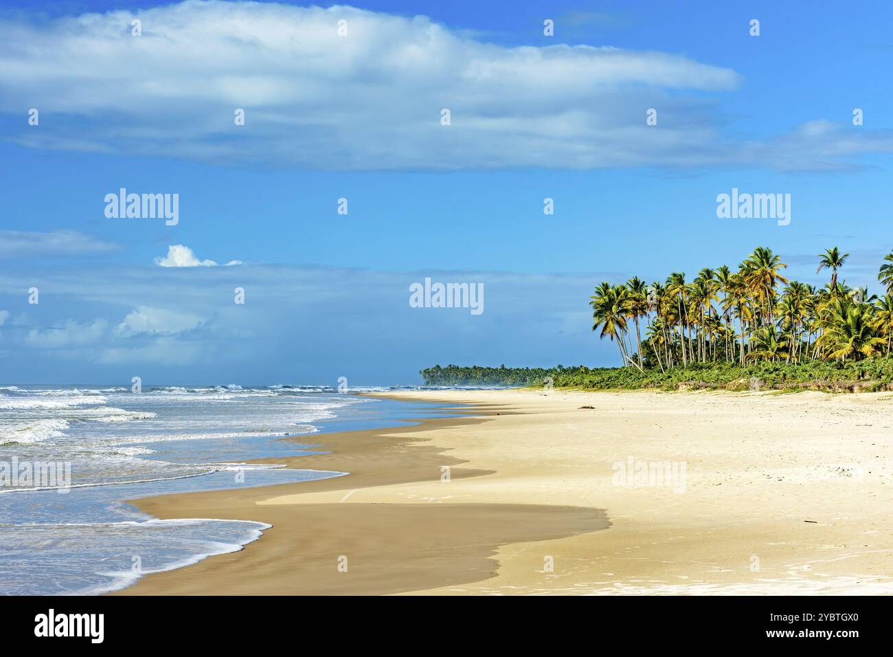 Giornata estiva di sole sull'idilliaca spiaggia di Sargi a Serra Grande a Bahia, nel nord-est del Brasile Foto Stock