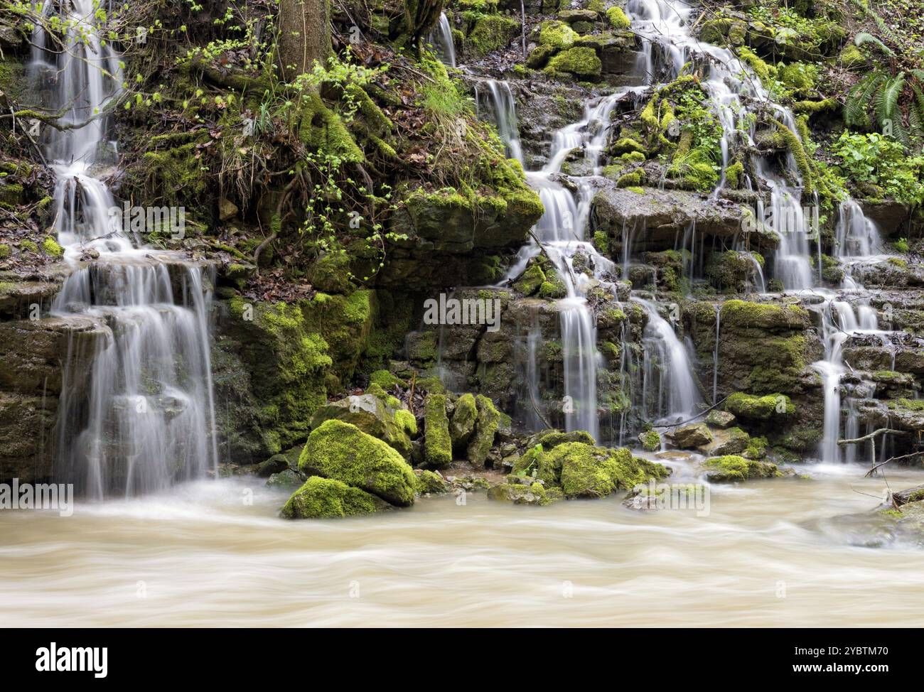 Piccole cascate nella gola di Schlichemklam vicino alla città tedesca Rottweil Foto Stock