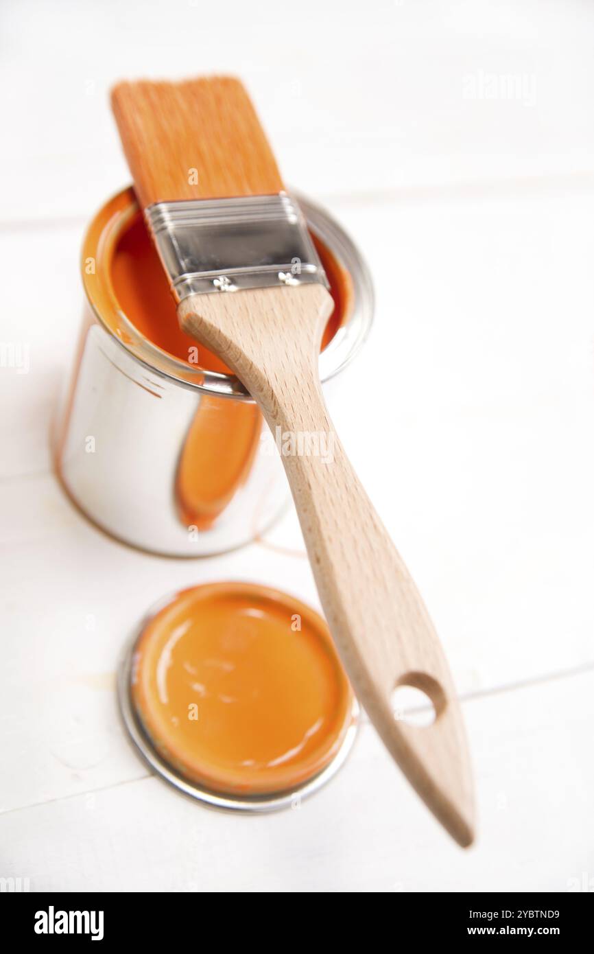 Presentazione di un pennello con il rispettivo Foto Stock