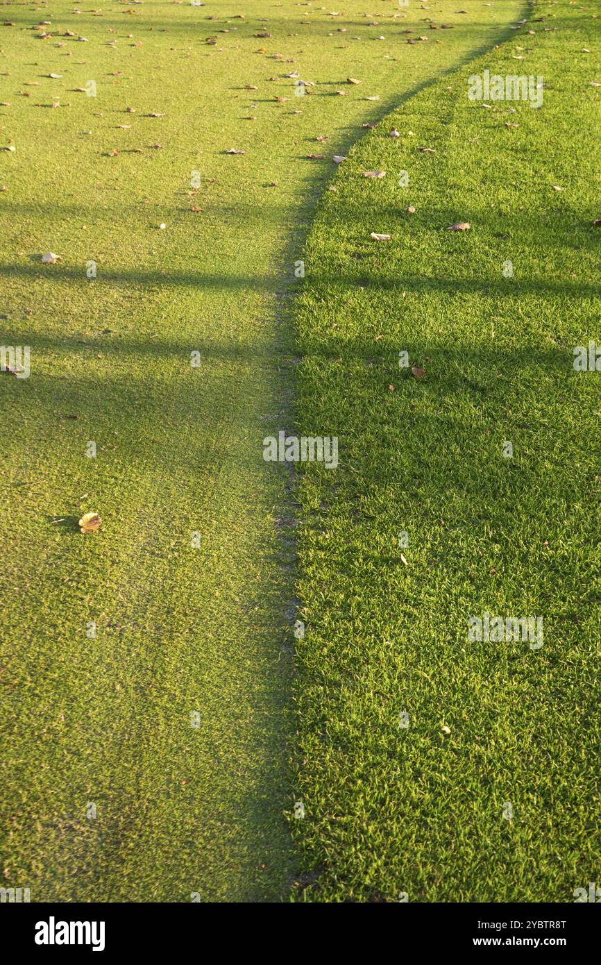Versione autunnale dell'erba in un campo per giocare a golf Foto Stock