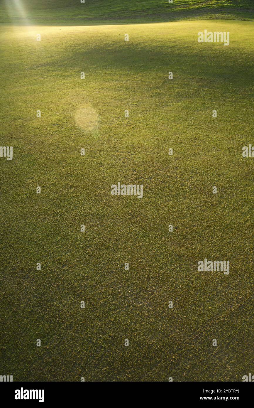 Versione autunnale dell'erba in un campo per giocare a golf Foto Stock