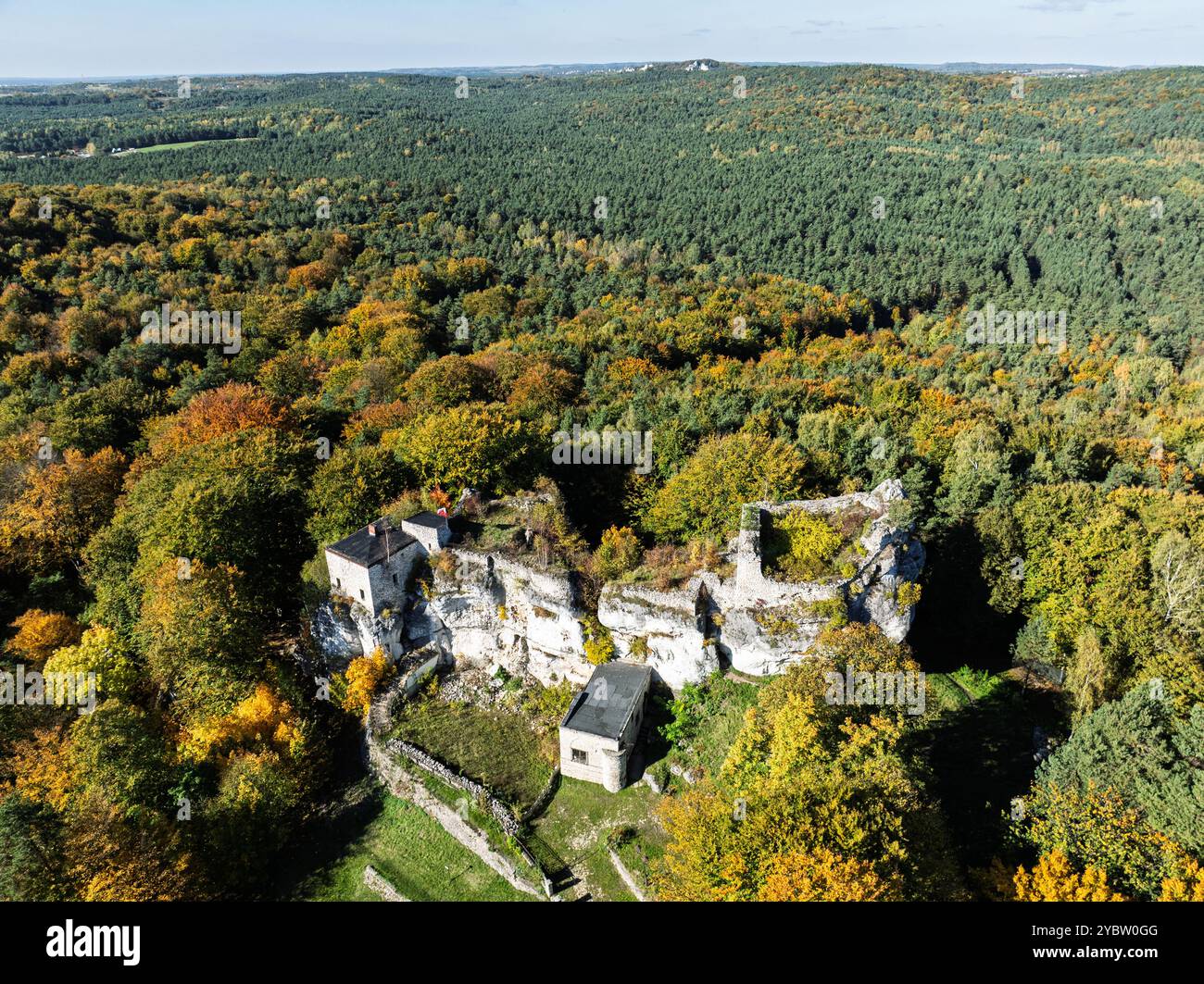 Rovine del castello Morsko. Vista aerea del castello dei Cavalieri di Bakowiec con drone. Eagles' Nests Trail. Panorama autunnale delle rovine del castello di Bakowiec a Morsko, Pola Foto Stock