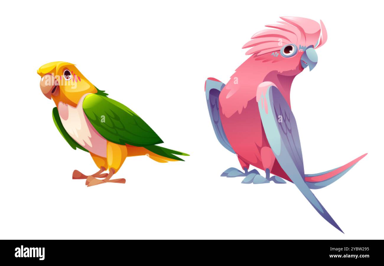 Uccelli pappagalli colorati, isolati su sfondo blu. Illustrazione vettoriale di una simpatica mascotte esotica con piume colorate, becco e ali, tropicale Illustrazione Vettoriale