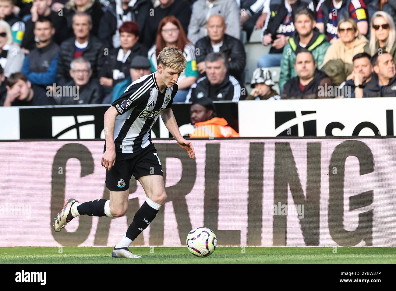 Newcastle, Regno Unito. 19 ottobre 2024. Anthony Gordon del Newcastle United durante la partita di Premier League Newcastle United vs Brighton e Hove Albion al St. James's Park, Newcastle, Regno Unito, 19 ottobre 2024 (foto di Mark Cosgrove/News Images) a Newcastle, Regno Unito il 19/10/2024. (Foto di Mark Cosgrove/News Images/Sipa USA) credito: SIPA USA/Alamy Live News Foto Stock