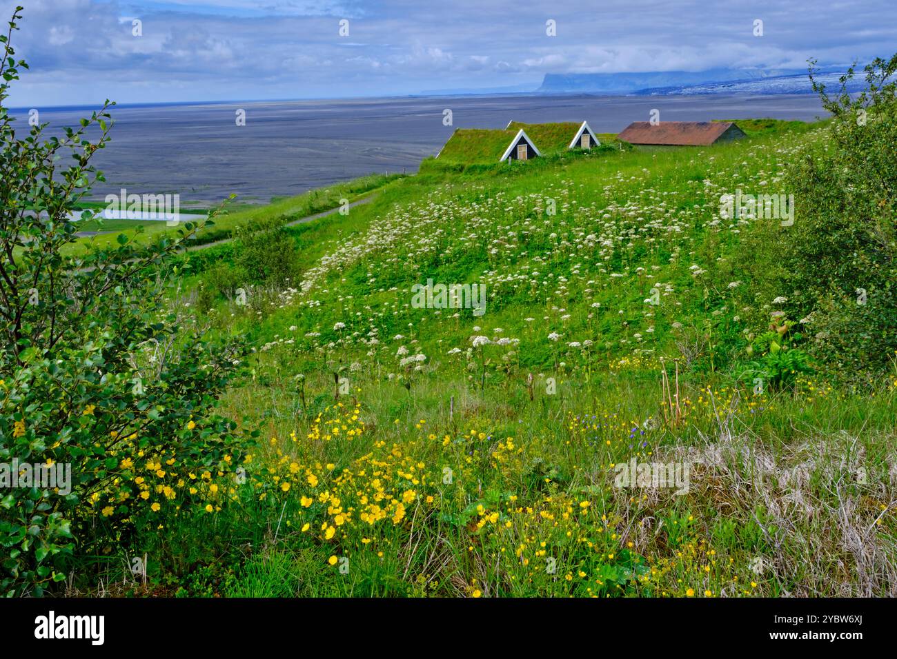 Islanda, regione del Sudurland, Parco Nazionale di Skaftafell, tradizionali casali in legno con erba sul tetto, casette in erba Foto Stock