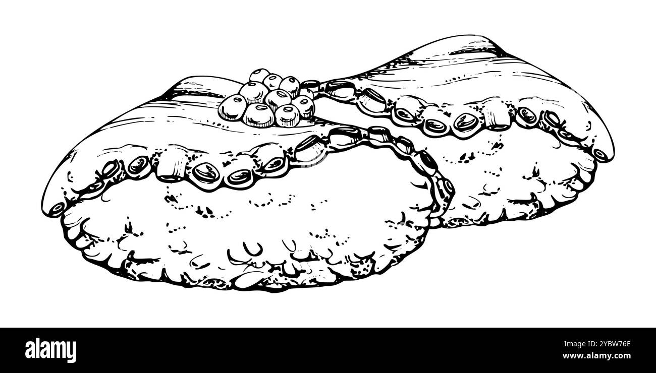 Cibo tradizionale giapponese, sushi nigiri di pesce crudo su palla di riso, fette di tentacoli di polpo tako, condimento di caviale, disegnato a mano in penna vettoriale, inchiostro Illustrazione Vettoriale