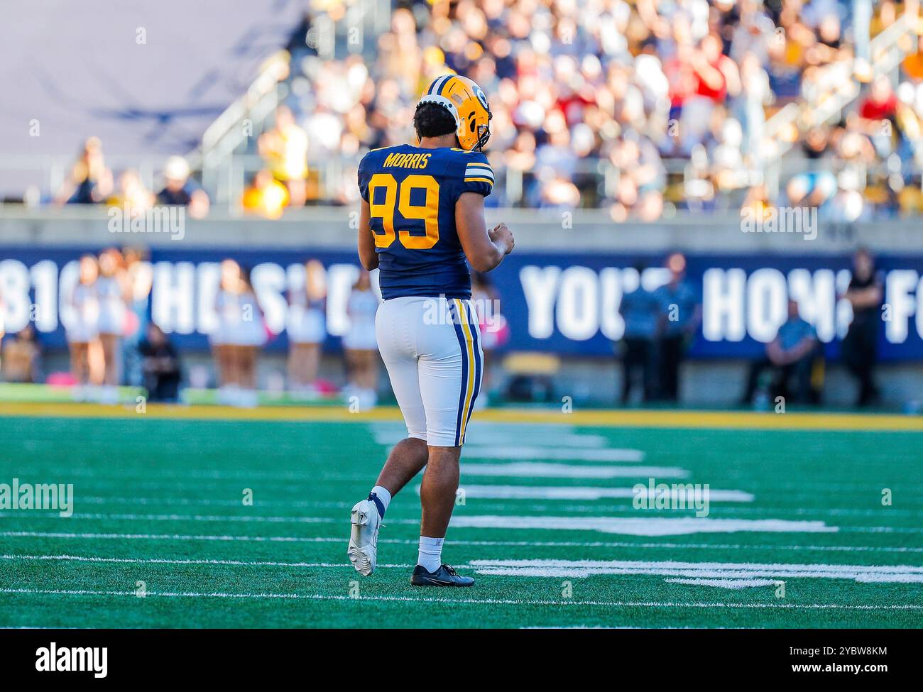 California Memorial Stadium. 19 ottobre 2024. Il kicker Derek Morris (99) della CA USA California esce dal campo dopo aver perso un 28 yarder con 1:34, nel quarto periodo, durante la partita di football ACC tra North Carolina State Wolfpack e California Golden Bears. Lo stato del North Carolina ha battuto la California 24-23 al California Memorial Stadium. Thurman James/CSM/Alamy Live News Foto Stock