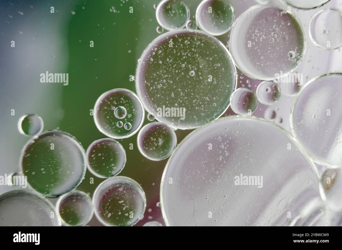 Primo piano di bolle d'olio sulla superficie dell'acqua con sfondo bianco morbido. Adatto per il design e la carta da parati Foto Stock