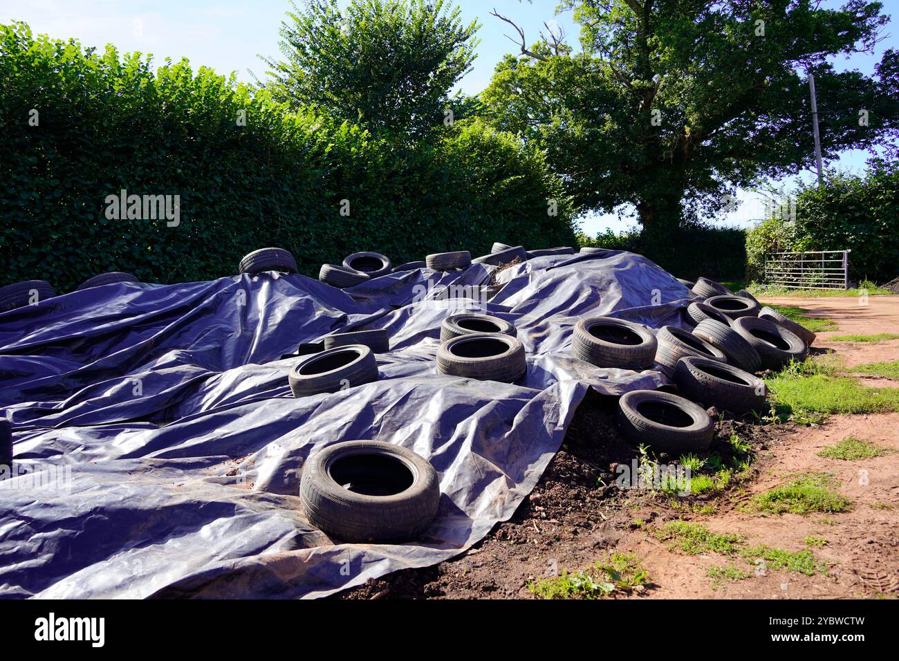 Copertura per teloni e pneumatici che coprono un cumulo di terreno in un'azienda agricola nel Regno Unito Foto Stock