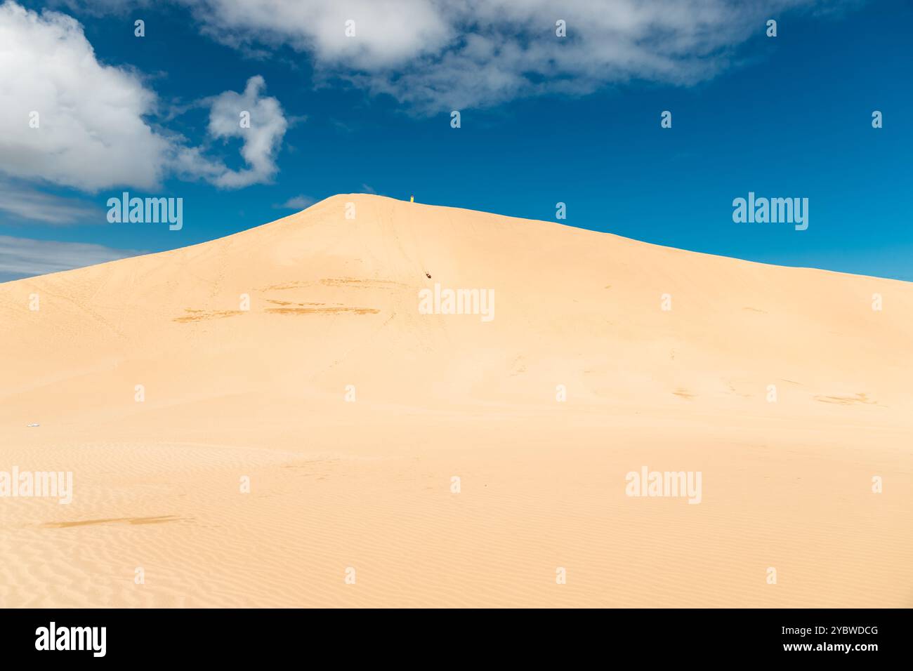 Sandboarding sulle dune di sabbia giganti vicino a Capo Reinga nella parte più settentrionale della nuova Zelanda (Isola del Nord, nuova Zelanda) Foto Stock