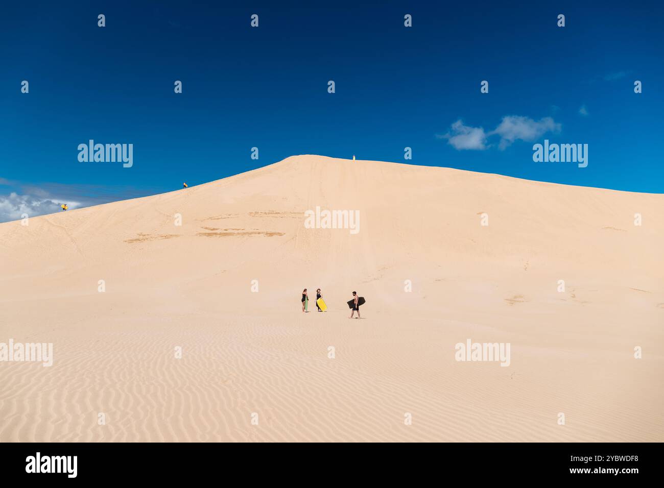 Sandboarding sulle dune di sabbia giganti vicino a Capo Reinga nella parte più settentrionale della nuova Zelanda (Isola del Nord, nuova Zelanda) Foto Stock