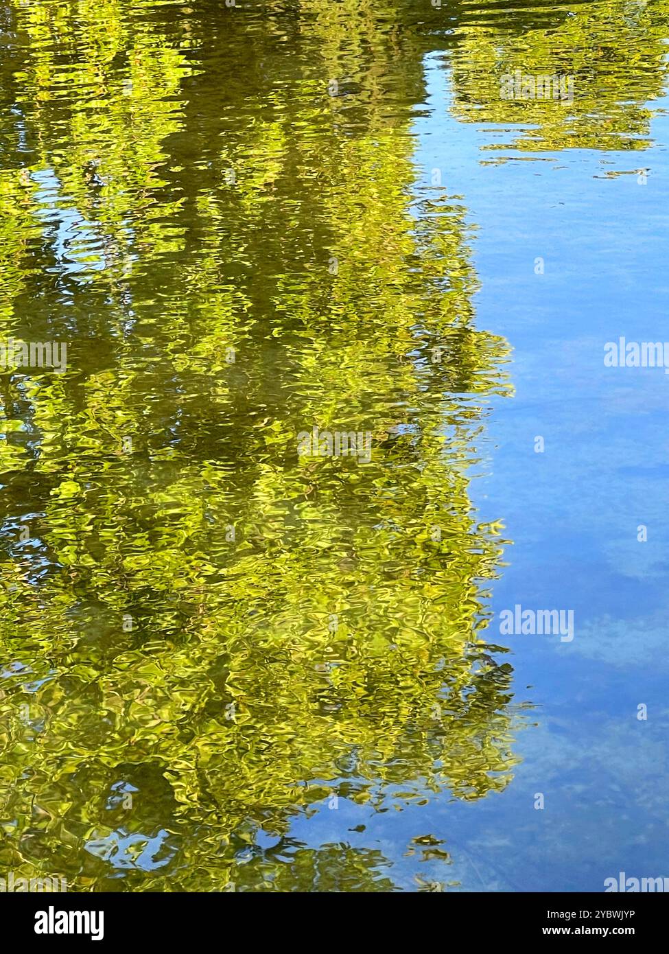 La riflessione di acqua - Immagine stock catturata con smartphone