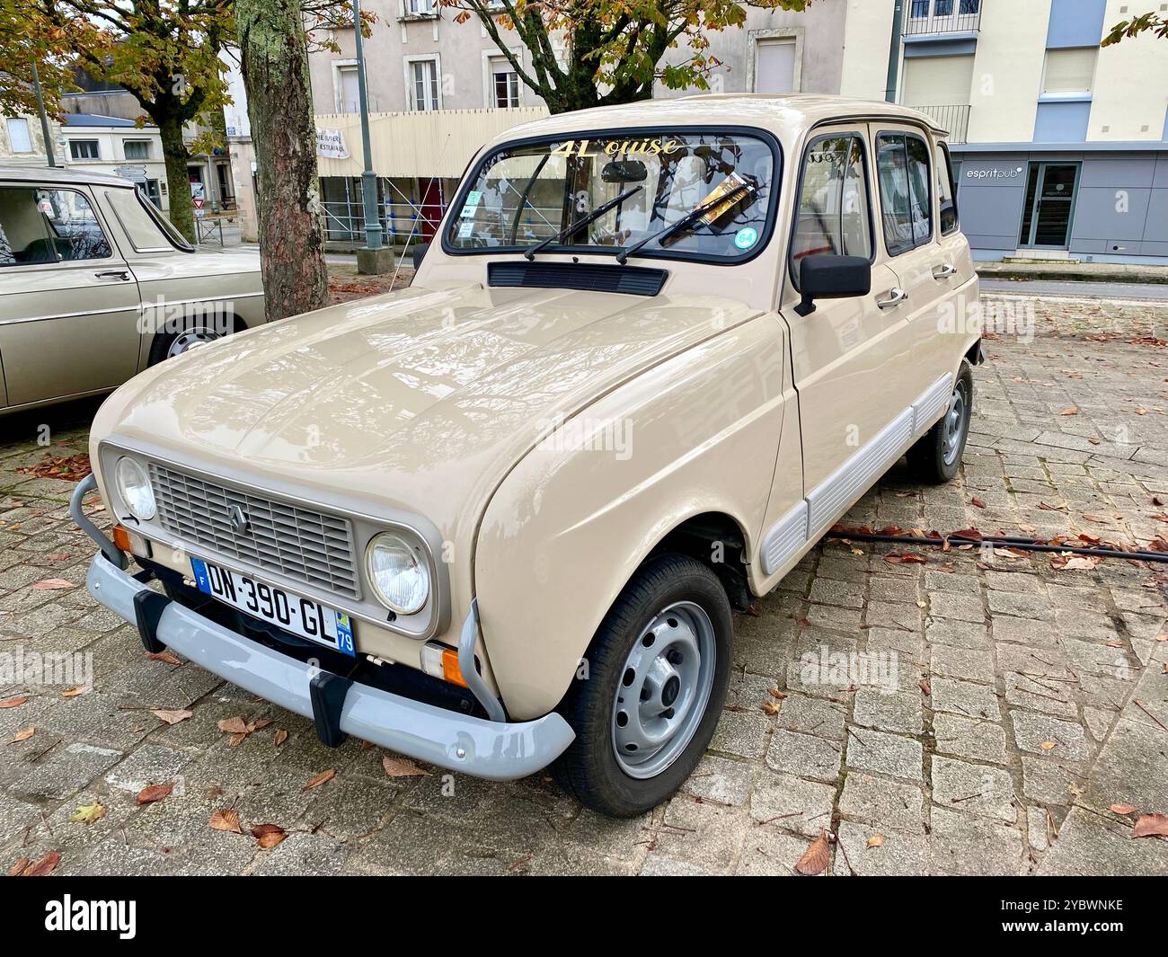 Renault 4TL Foto Stock