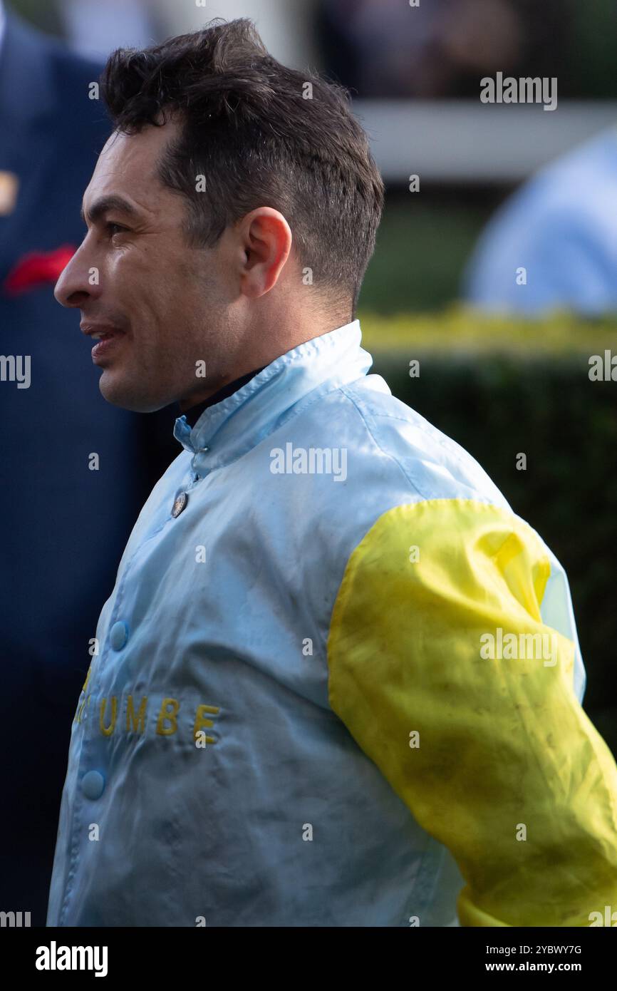 Ascot, Berkshire, Regno Unito. 19 ottobre 2024. Jockey Silvestre De Sousa. Il CHARYN guidato dal fantino Silvestre De Sousa vince le Queen Elizabeth II Stakes, sponsorizzate da QIPCO, gruppo 1, British Champions Mile, Classe 1 all'Ascot Racecourse nel Berkshire al QIPCO British Champions Day 2024. Proprietario, signor Nurlan Bizakov, allenatore Roger Varian, Newmarket, allevatore Grangemore Stud, sponsor Sumbe SAS. Crediti: Maureen McLean/Alamy Live News Foto Stock