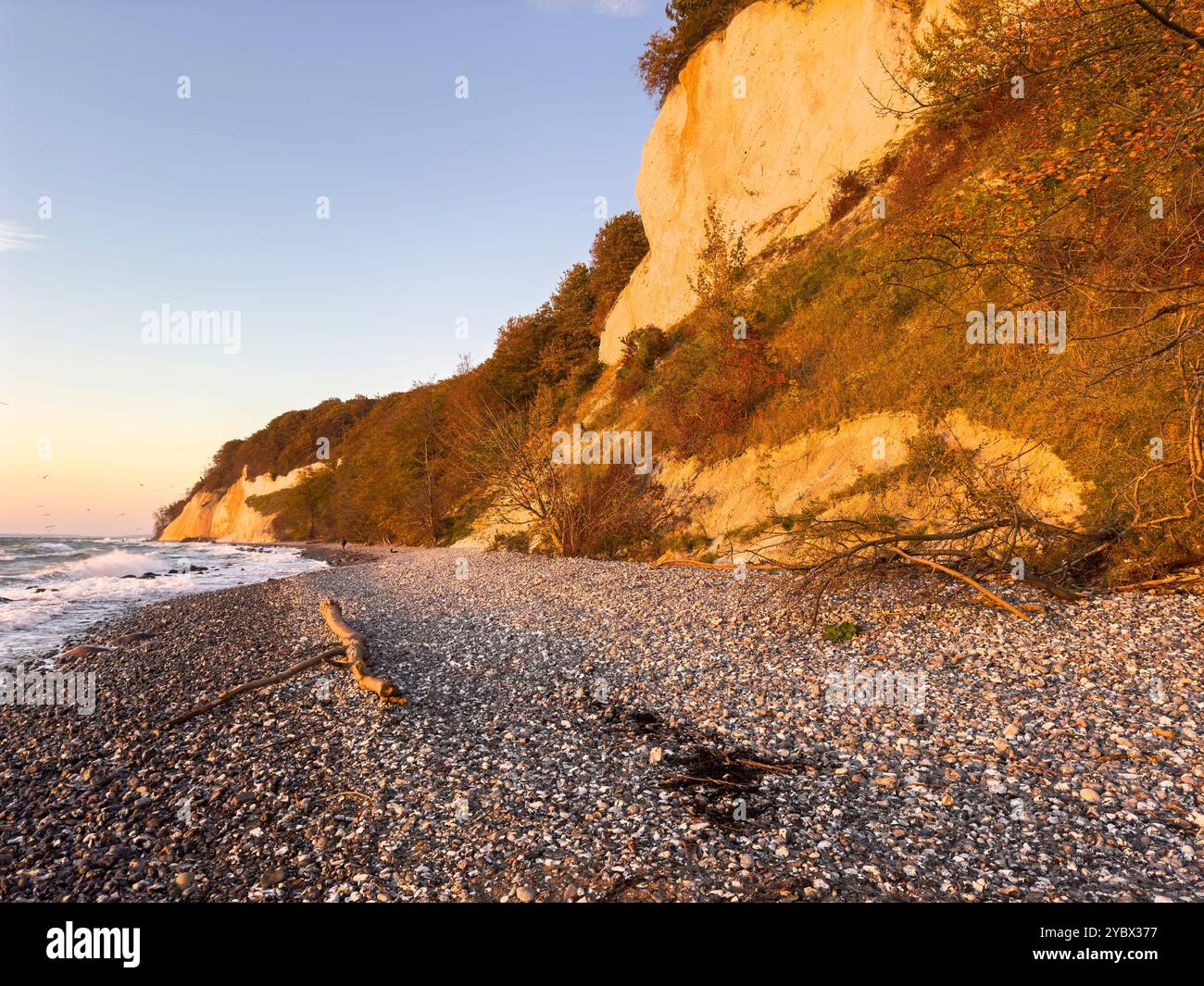 Scogliera di gesso Sassnitz sull'isola di Rügen in Germania illuminata dal sole Foto Stock