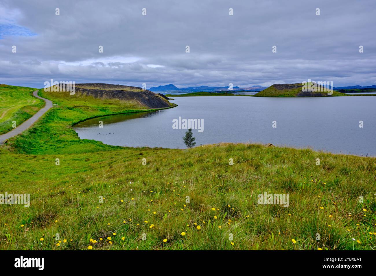 Islanda, regione Nordurland Eystra, Skutustadir, paesaggio vulcanico sul lago Myvatn Foto Stock