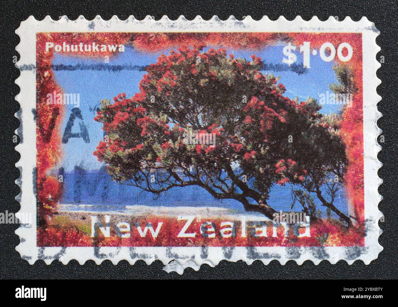 Francobollo cancellato stampato dalla nuova Zelanda, che mostra l'albero di Pohutukawa, intorno al 1996. Foto Stock