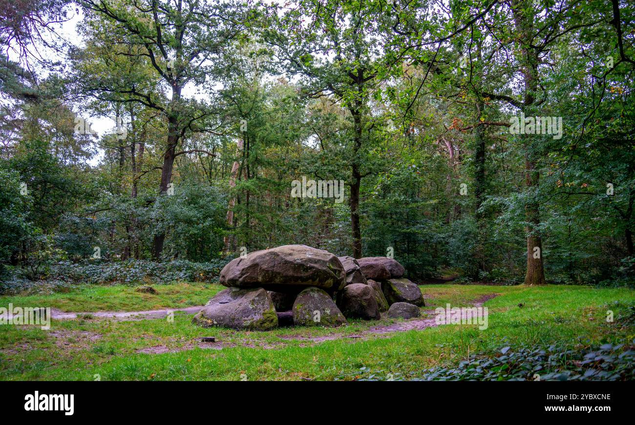 Monumento neolitico nella foresta di Drenthe, Paesi Bassi Foto Stock