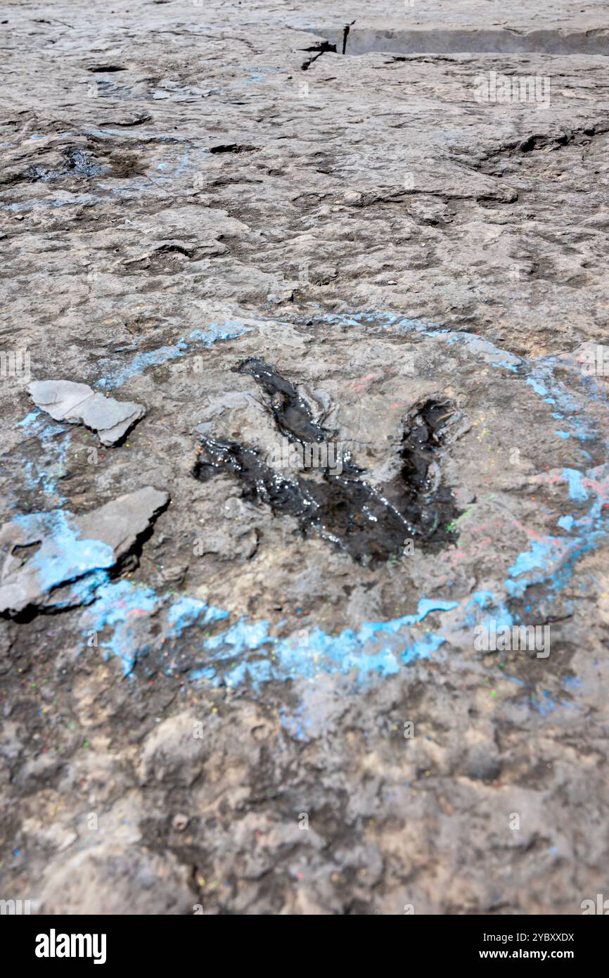 La cava di roccia con impronte di dinosauri dell'era Triassica apre per un fine settimana all'anno ai visitatori. Le impronte sono state trovate nel 1989 da un geologo al lavoro Foto Stock