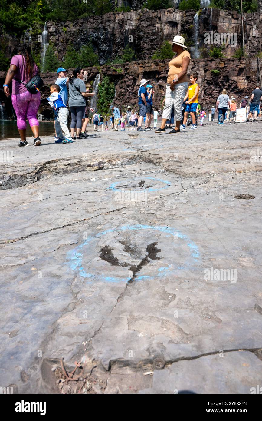 La cava di roccia con impronte di dinosauri dell'era Triassica apre per un fine settimana all'anno ai visitatori. Le impronte sono state trovate nel 1989 da un geologo al lavoro Foto Stock