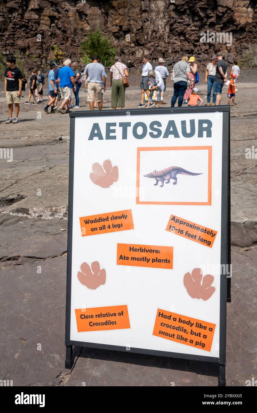 Un segno per un dinosauro aetosauro ha fatti per i visitatori. La cava di roccia con impronte di dinosauri dell'era Triassica apre per un fine settimana all'anno ai visitatori. TH Foto Stock