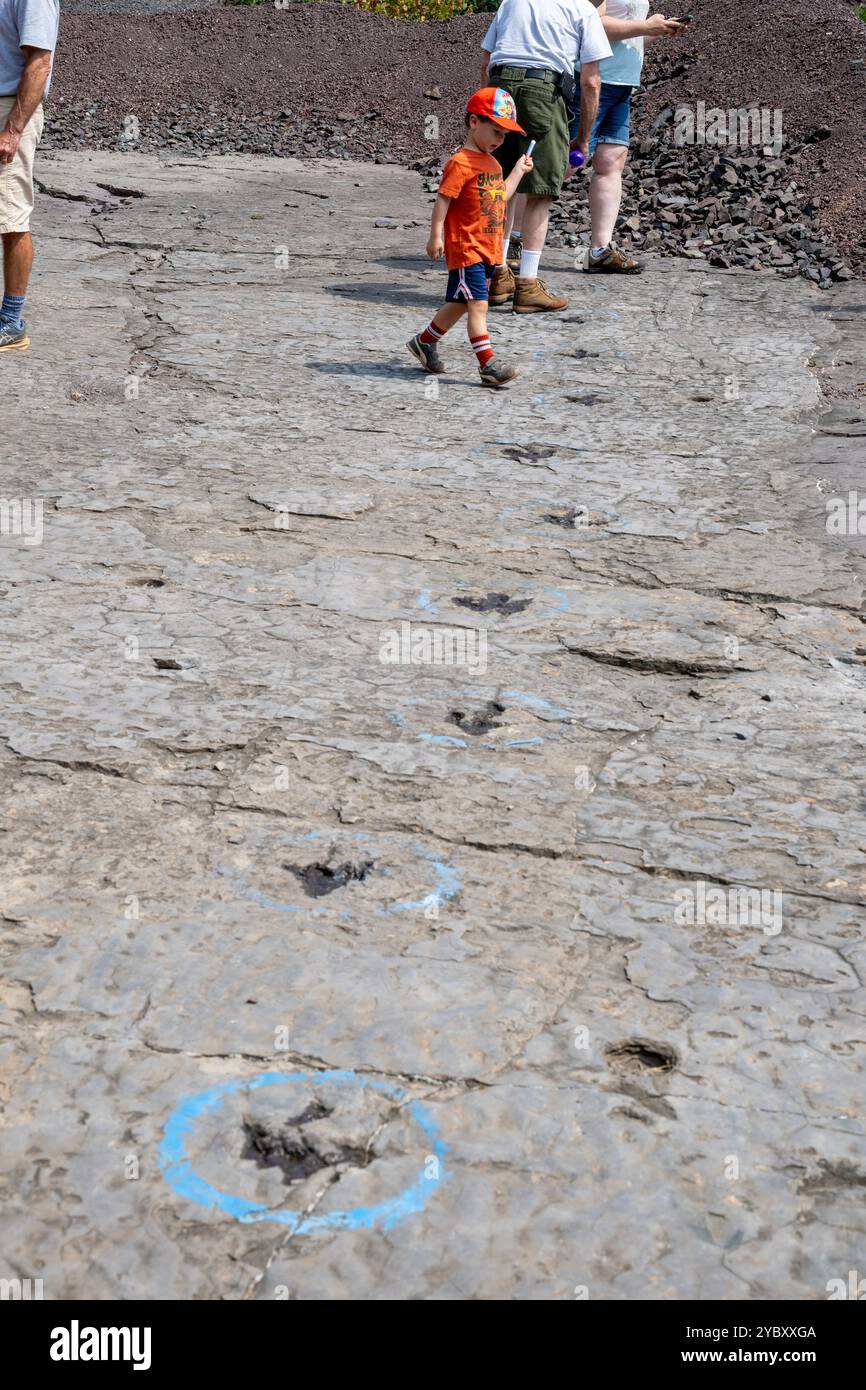 La cava di roccia con impronte di dinosauri dell'era Triassica apre per un fine settimana all'anno ai visitatori. Le impronte sono state trovate nel 1989 da un geologo al lavoro Foto Stock