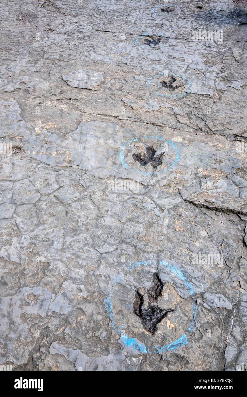 La cava di roccia con impronte di dinosauri dell'era Triassica apre per un fine settimana all'anno ai visitatori. Le impronte sono state trovate nel 1989 da un geologo al lavoro Foto Stock