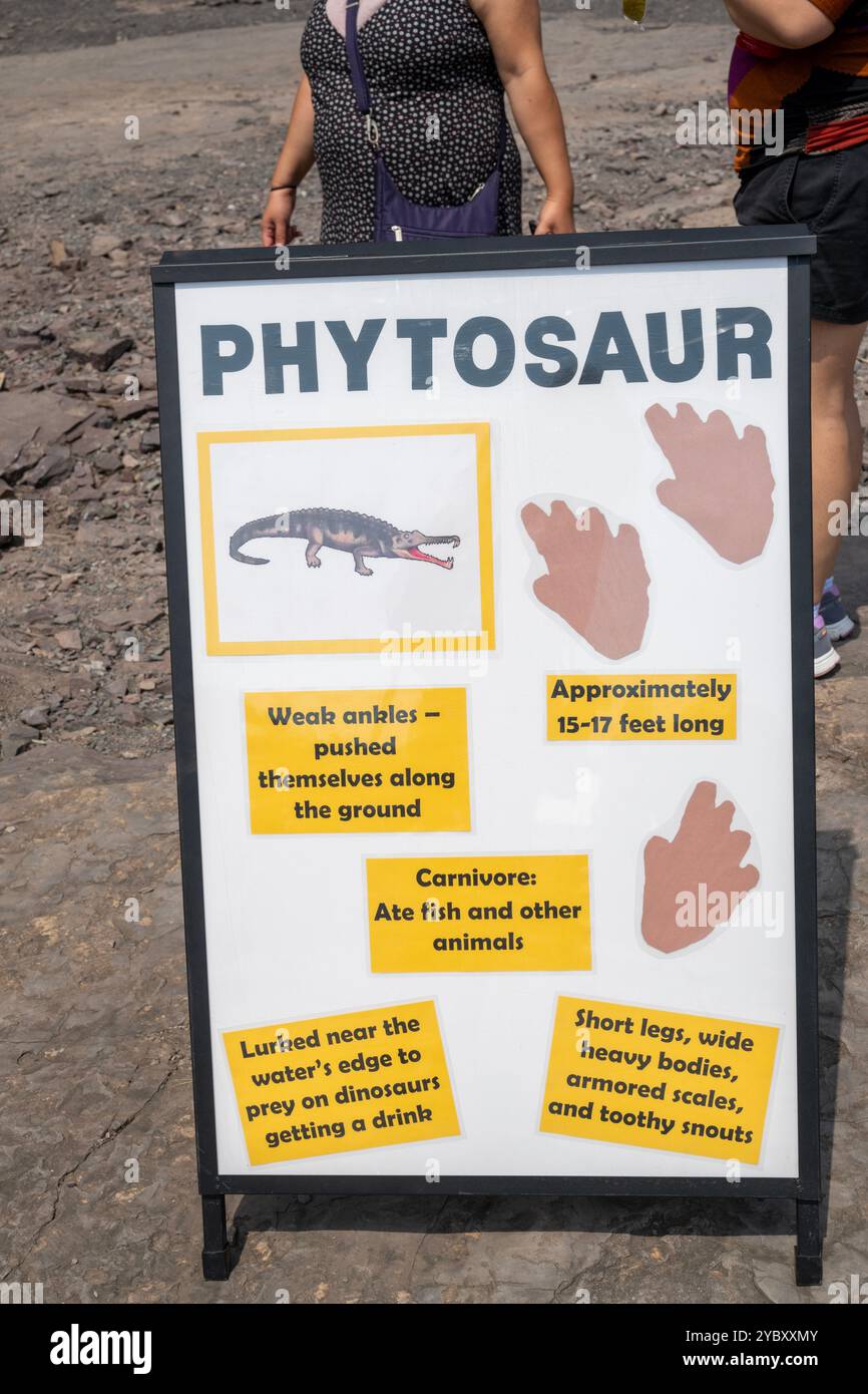 Un segnale per un dinosauro fitosauro ha fatti per i visitatori. La cava di roccia con impronte di dinosauri dell'era Triassica apre per un fine settimana all'anno ai visitatori. T Foto Stock