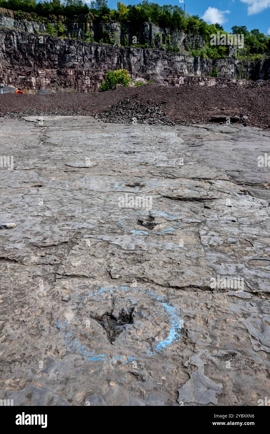 La cava di roccia con impronte di dinosauri dell'era Triassica apre per un fine settimana all'anno ai visitatori. Le impronte sono state trovate nel 1989 da un geologo al lavoro Foto Stock