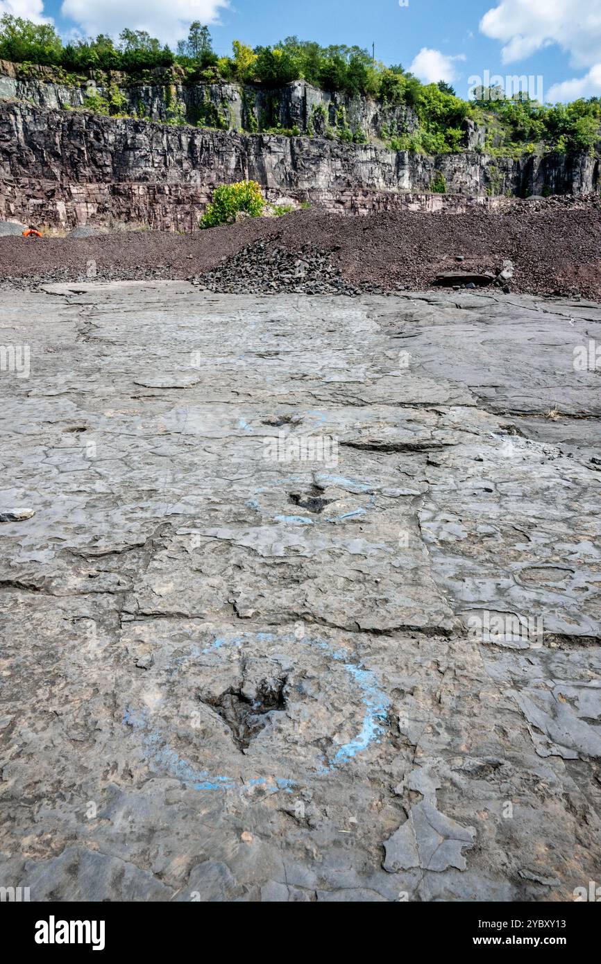 La cava di roccia con impronte di dinosauri dell'era Triassica apre per un fine settimana all'anno ai visitatori. Le impronte sono state trovate nel 1989 da un geologo al lavoro Foto Stock
