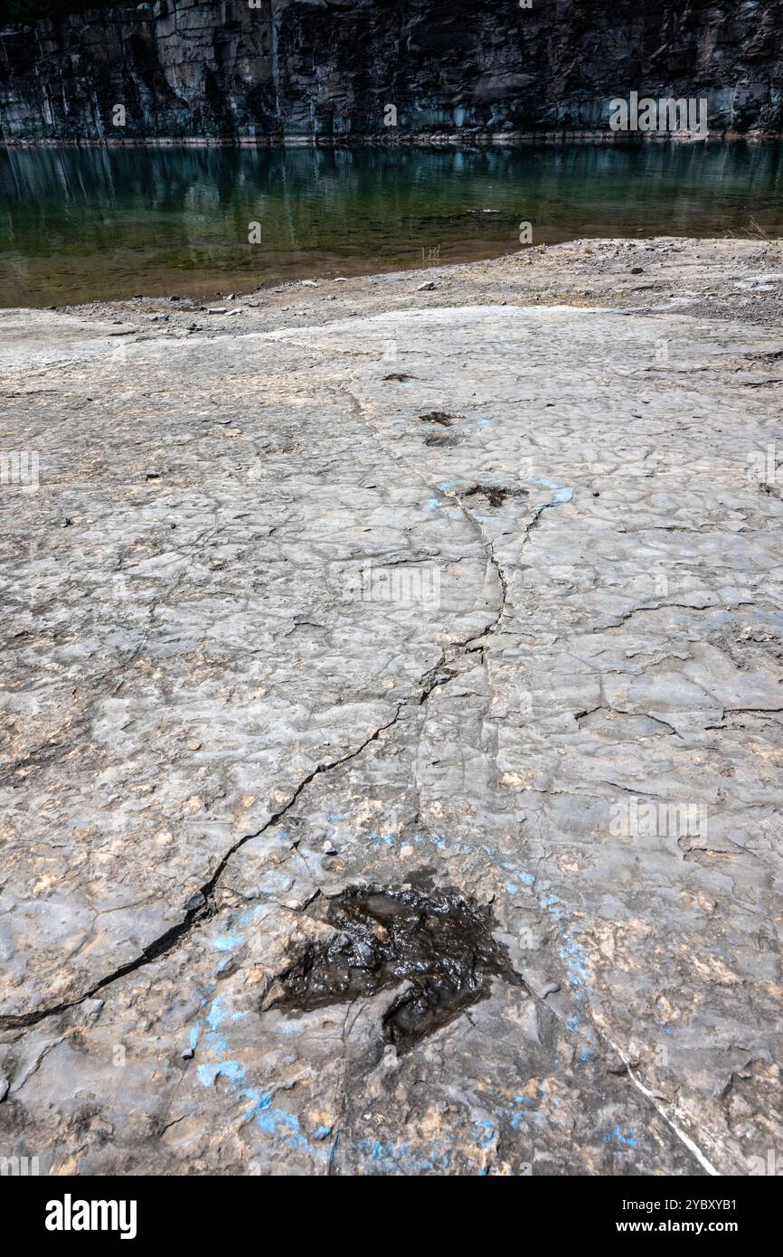 La cava di roccia con impronte di dinosauri dell'era Triassica apre per un fine settimana all'anno ai visitatori. Le impronte sono state trovate nel 1989 da un geologo al lavoro Foto Stock