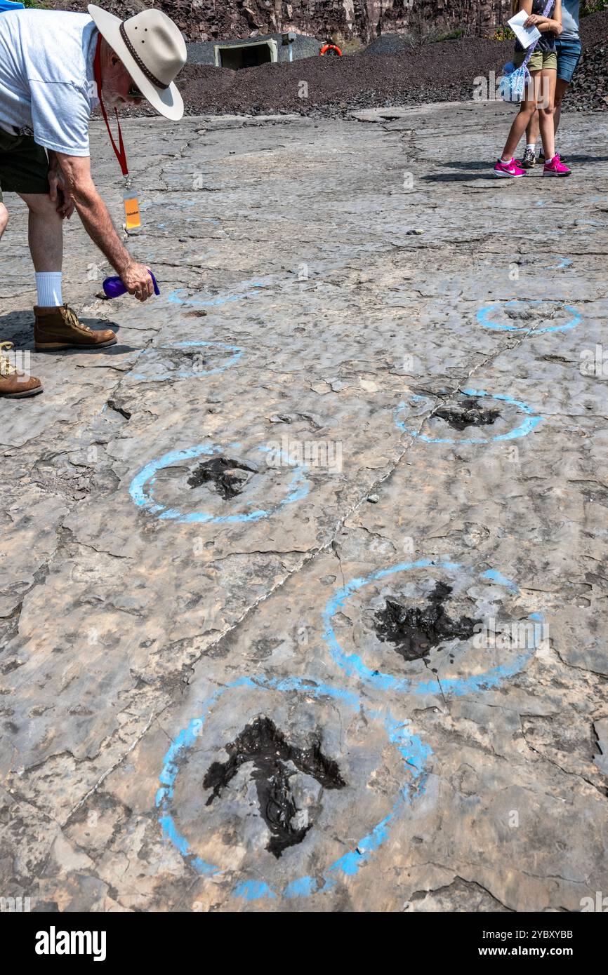 Un volontario spruzza acqua sulle orme dei dinosauri per aiutarli a diventare visibili. La cava di roccia con impronte di dinosauri dell'era Triassica apre per un fine settimana Foto Stock