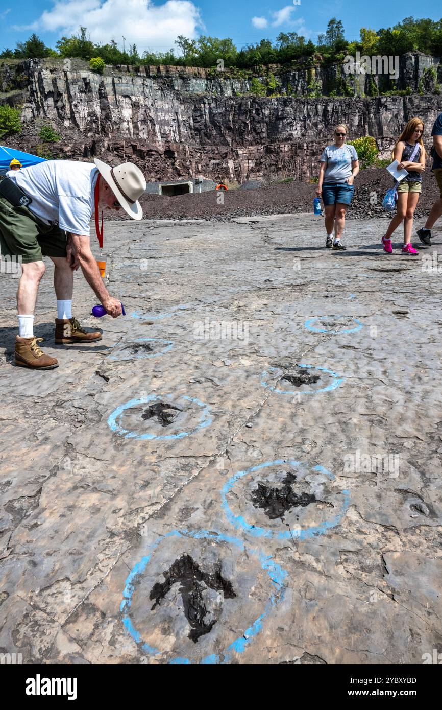 Un volontario spruzza acqua sulle orme dei dinosauri per aiutarli a diventare visibili. La cava di roccia con impronte di dinosauri dell'era Triassica apre per un fine settimana Foto Stock