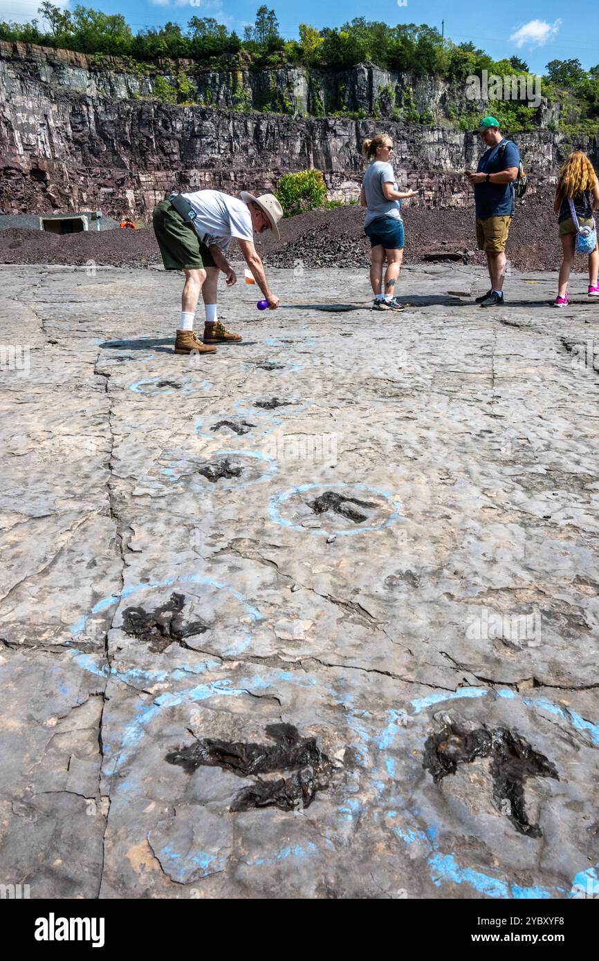 Un volontario spruzza acqua sulle orme dei dinosauri per aiutarli a diventare visibili. La cava di roccia con impronte di dinosauri dell'era Triassica apre per un fine settimana Foto Stock
