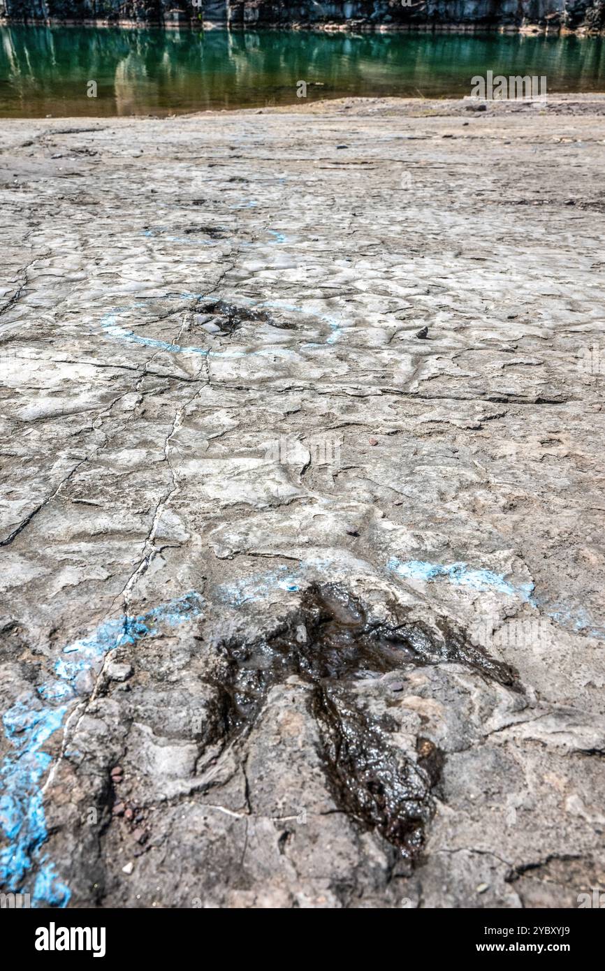 La cava di roccia con impronte di dinosauri dell'era Triassica apre per un fine settimana all'anno ai visitatori. Le impronte sono state trovate nel 1989 da un geologo al lavoro Foto Stock