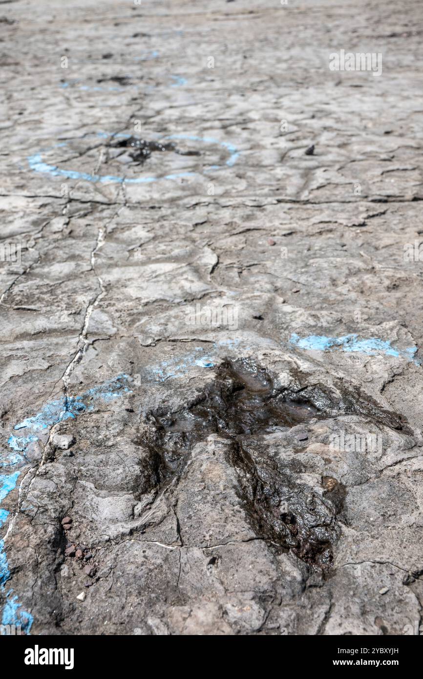La cava di roccia con impronte di dinosauri dell'era Triassica apre per un fine settimana all'anno ai visitatori. Le impronte sono state trovate nel 1989 da un geologo al lavoro Foto Stock