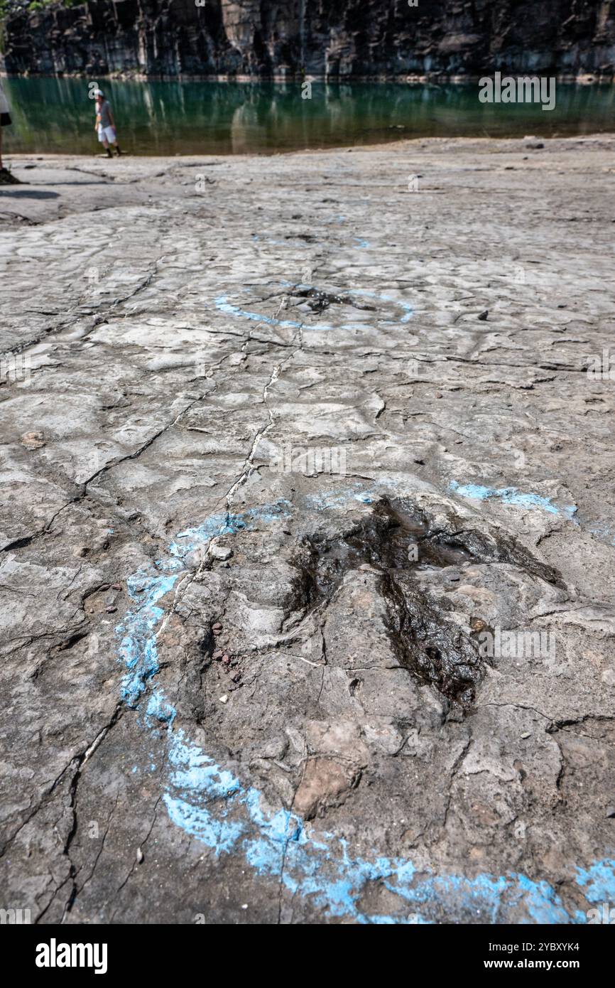 La cava di roccia con impronte di dinosauri dell'era Triassica apre per un fine settimana all'anno ai visitatori. Le impronte sono state trovate nel 1989 da un geologo al lavoro Foto Stock